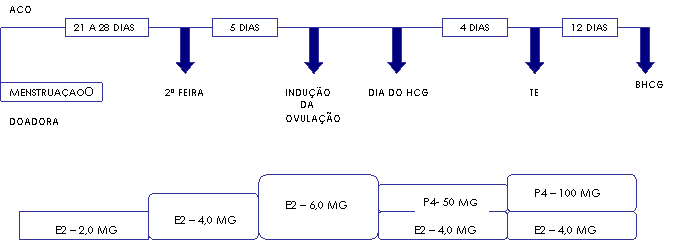 RESUMO DA SINCRONIA DOADORA X RECEPTORA