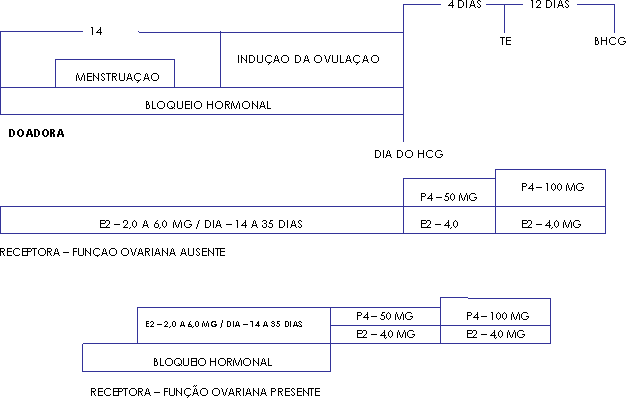 RESUMO DA SINCRONIA DOADORA X RECEPTORA